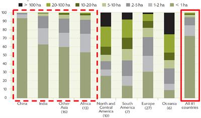 Decent Employment and the Future of Agriculture. How Dominant Narratives Prevent Addressing Structural Issues